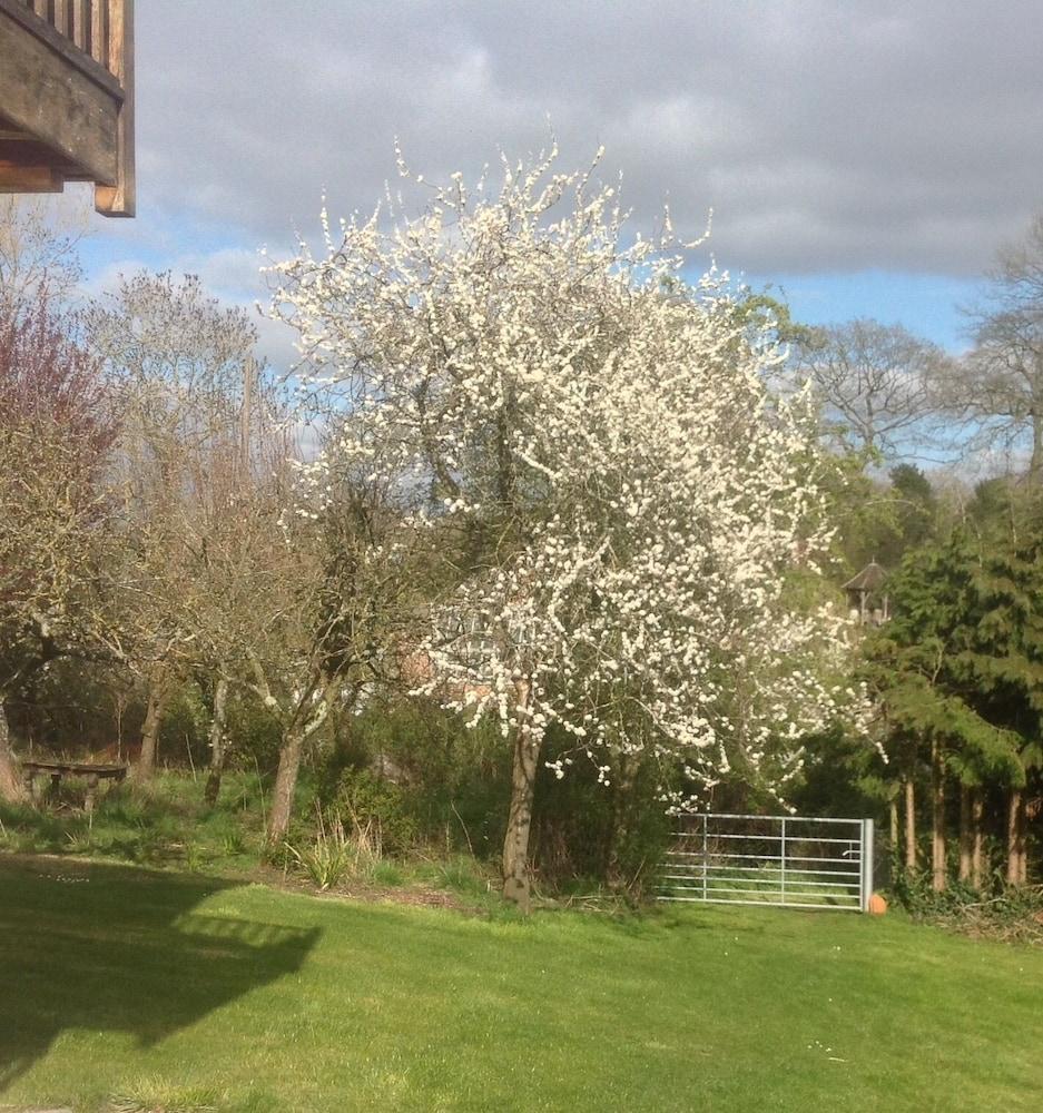 Shakespeare'S View Hotel Stratford-upon-Avon Luaran gambar